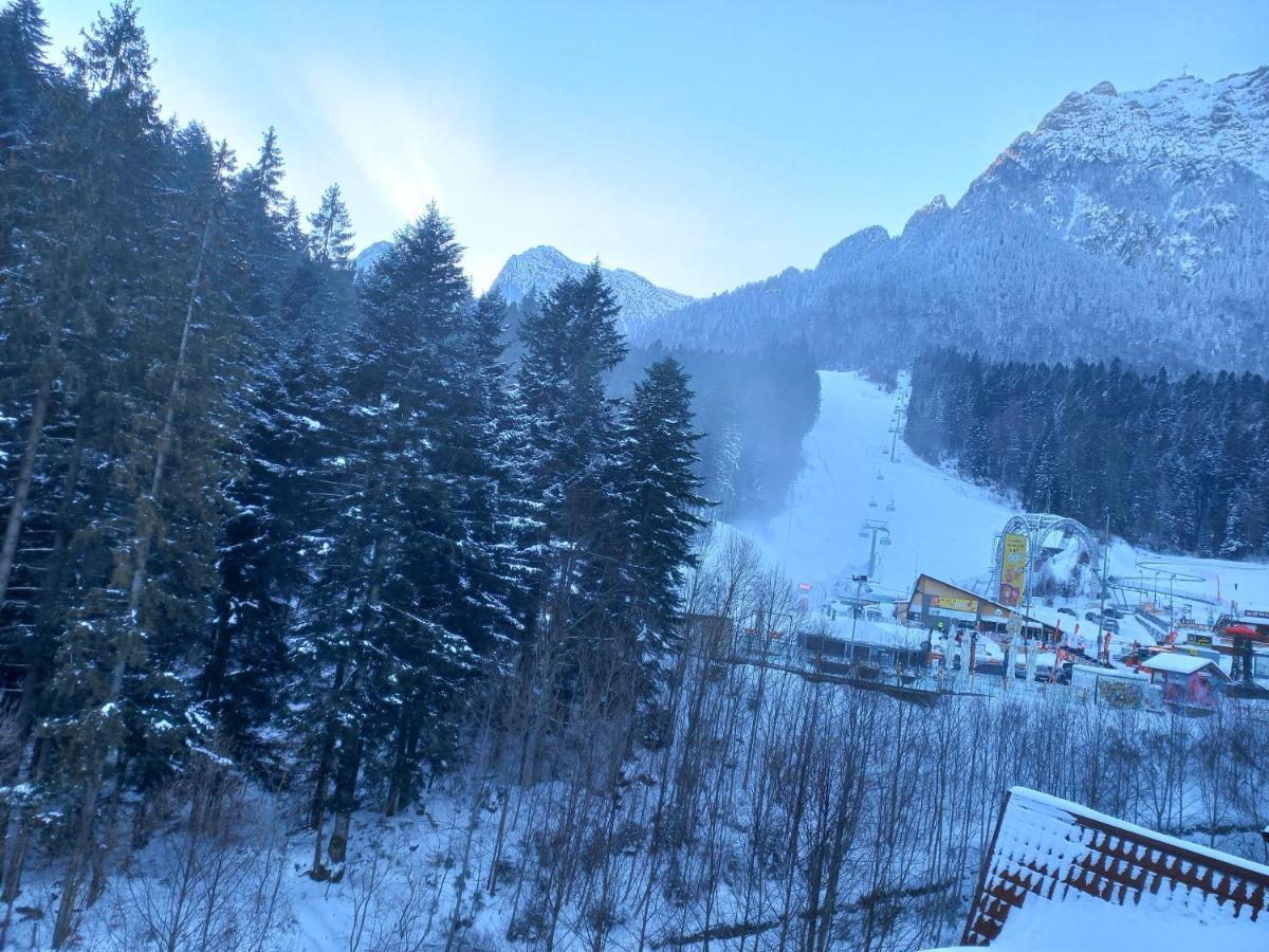 Kalinderu Luxury Ski Loft Buşteni Dış mekan fotoğraf