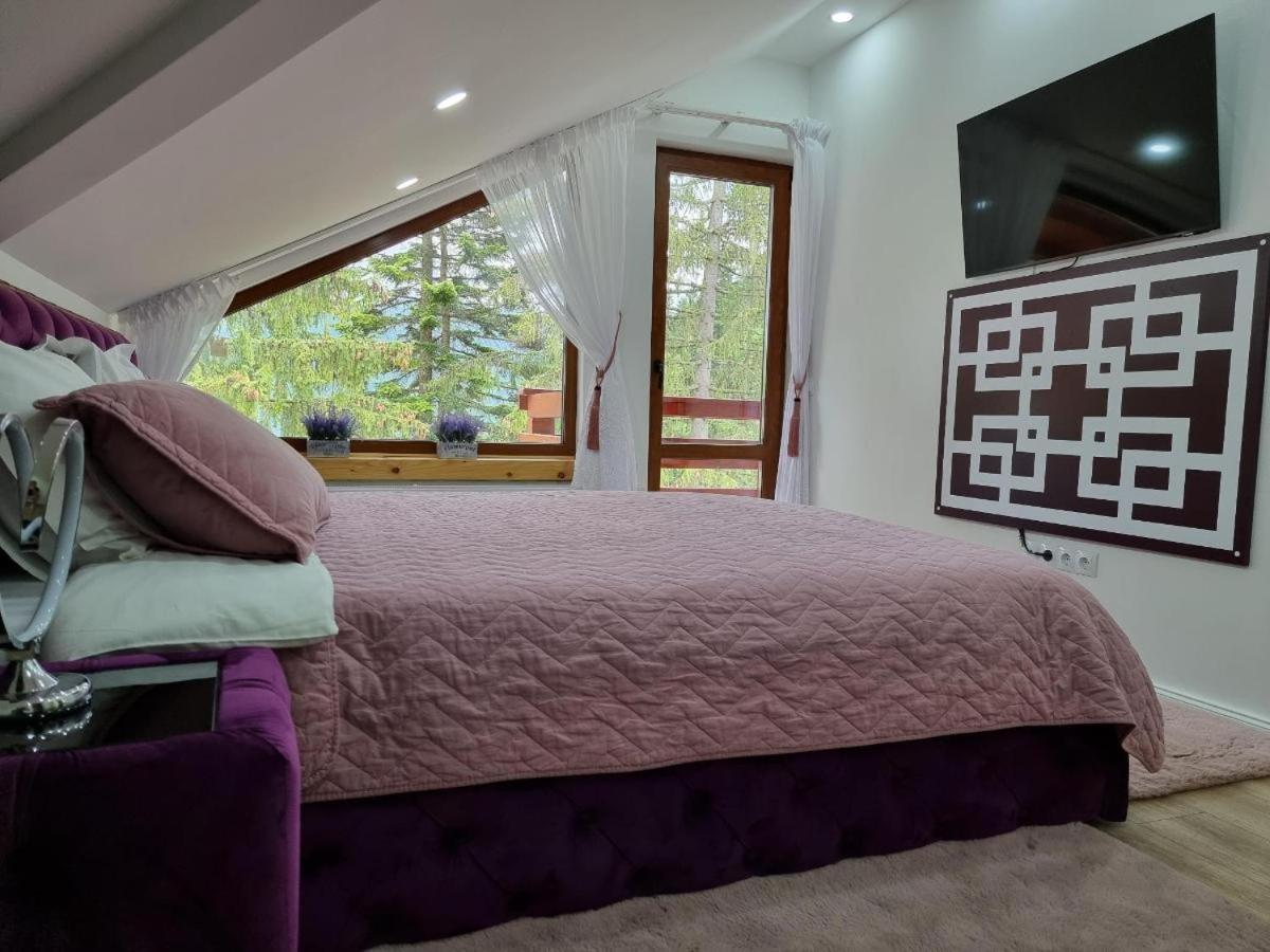 Kalinderu Luxury Ski Loft Buşteni Dış mekan fotoğraf